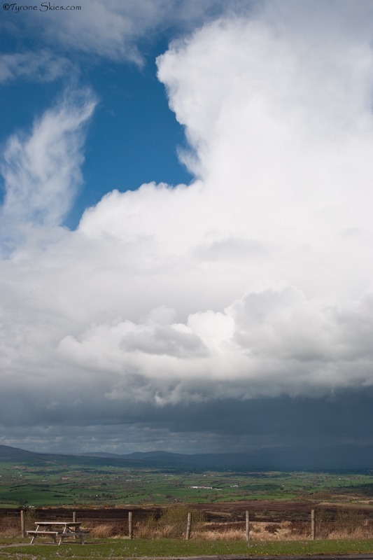 Pigeon top convection