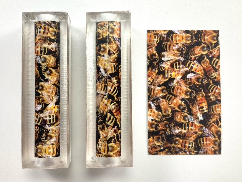 Honey Bees - Image/Photo Label Cast Pen Blanks