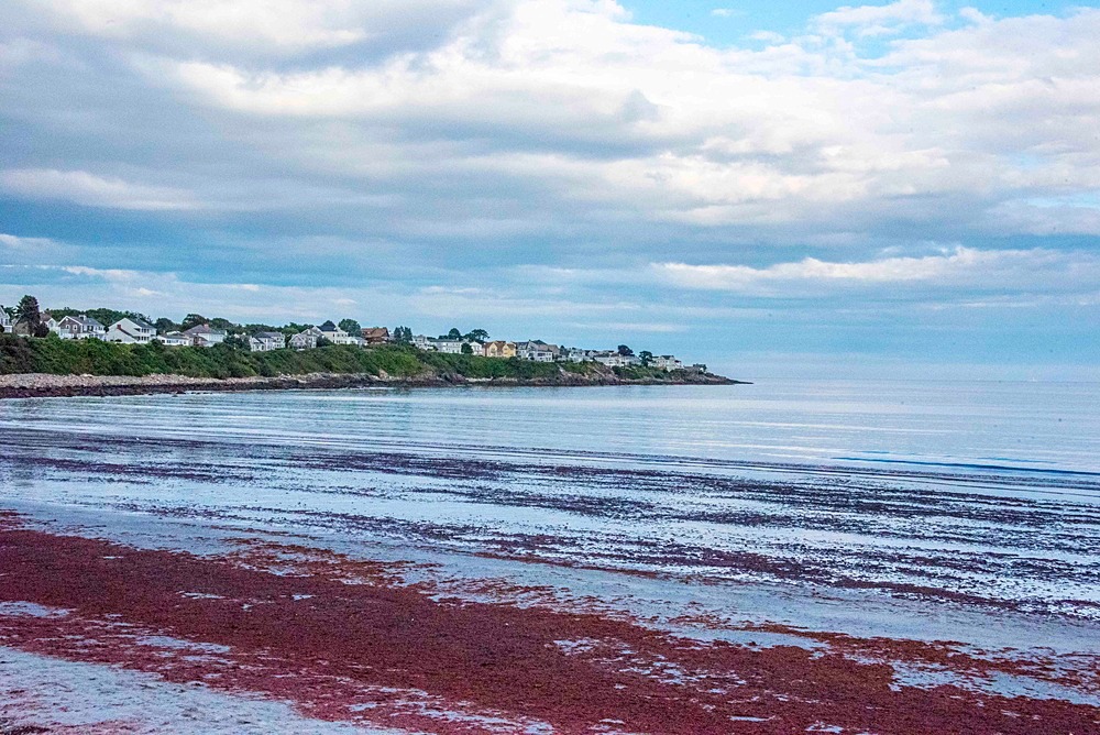 Maine