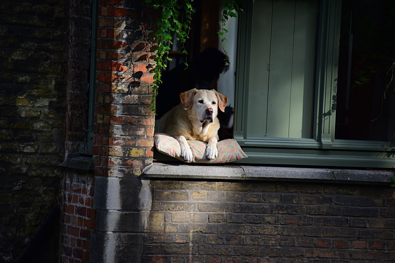  - Bruges