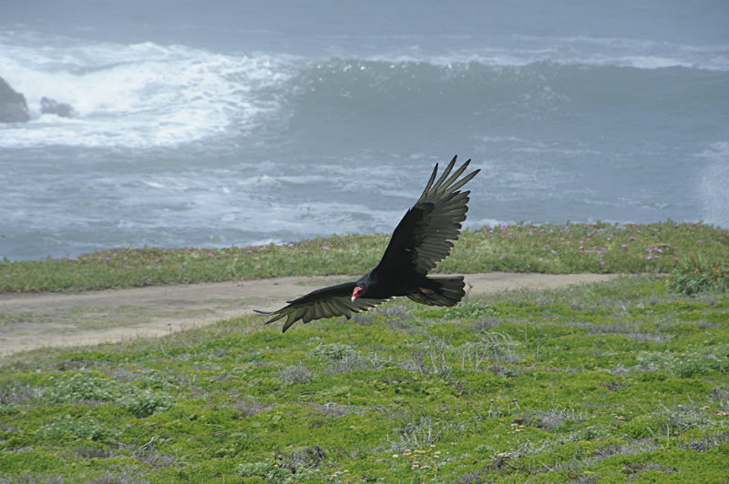  - Pacific Highway