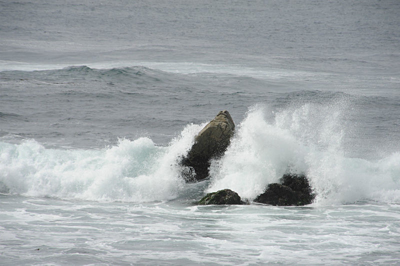  - Pacific Highway