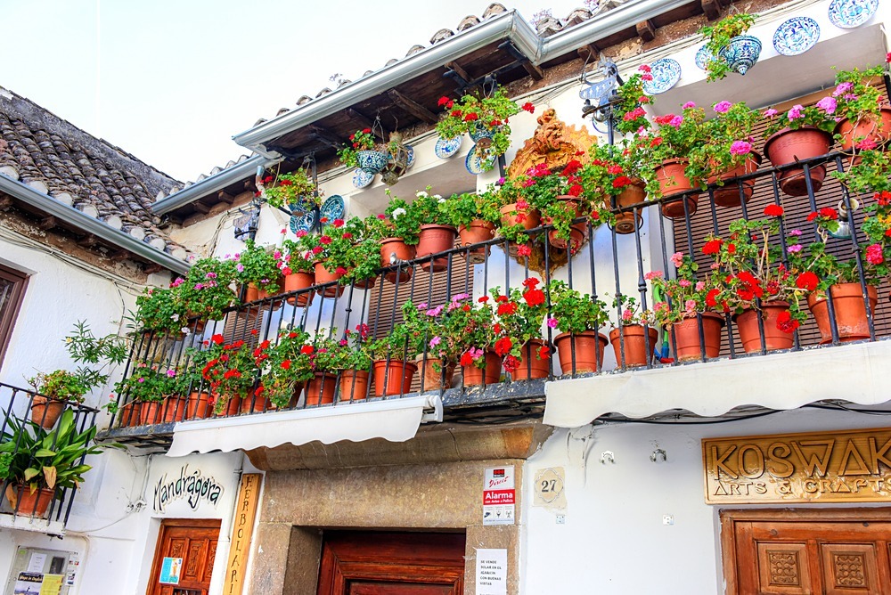  - Andalusia