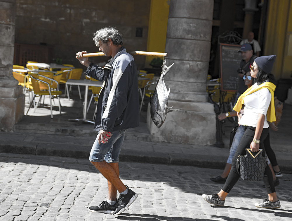  - Havana