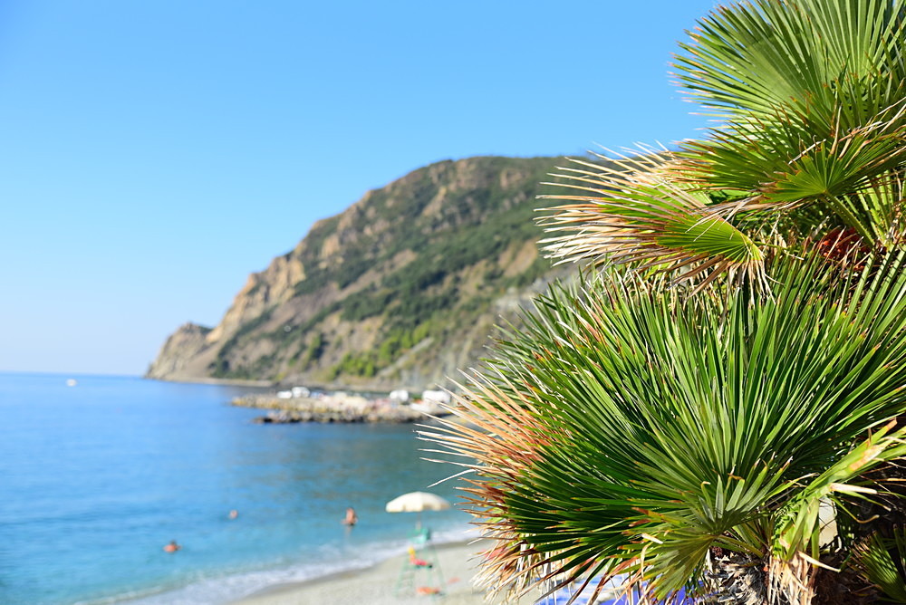 5 - CINQUE TERRE