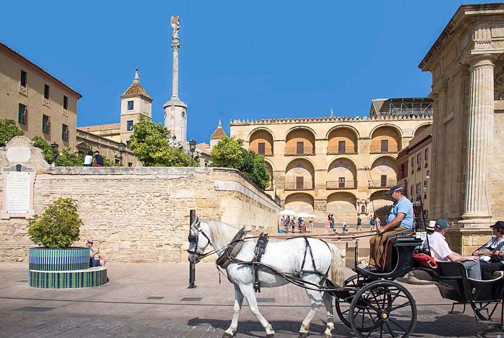 - Andalusia