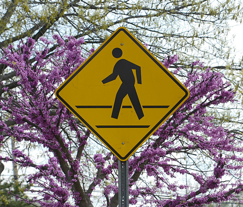  - Only in springtime
