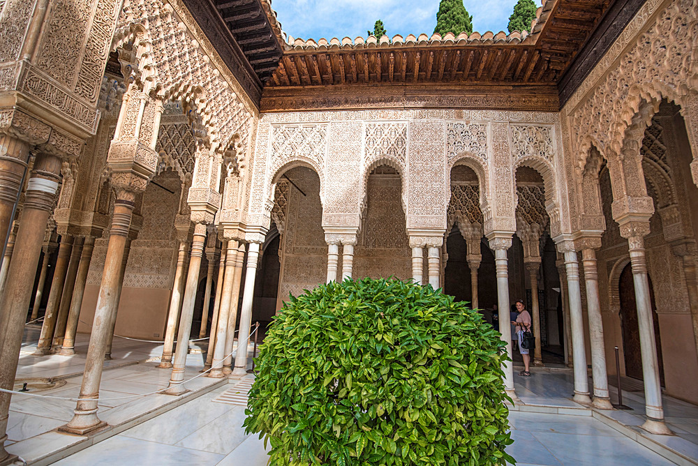  - Andalusia