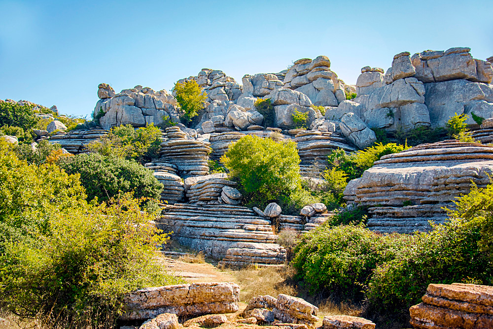  - Andalusia