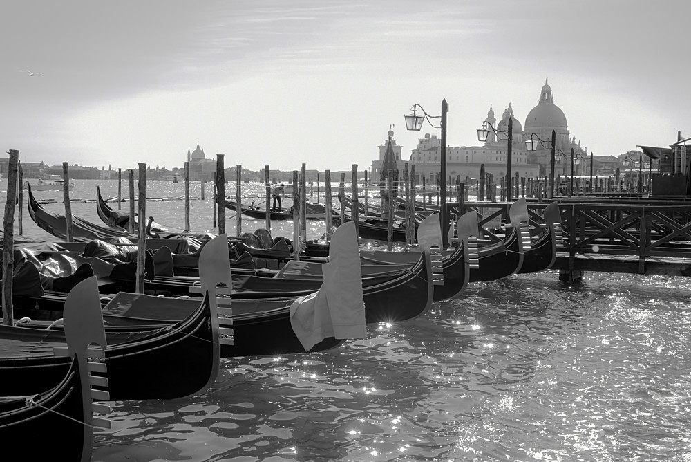  - Venice