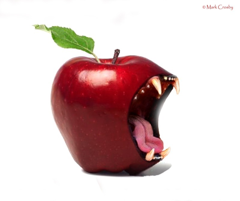 - Photoshop