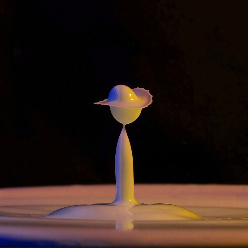  - Milk Drops