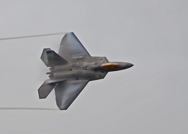Lockheed Martin/Boeing F-22 Raptor (2010) - Royal International Air Tattoo