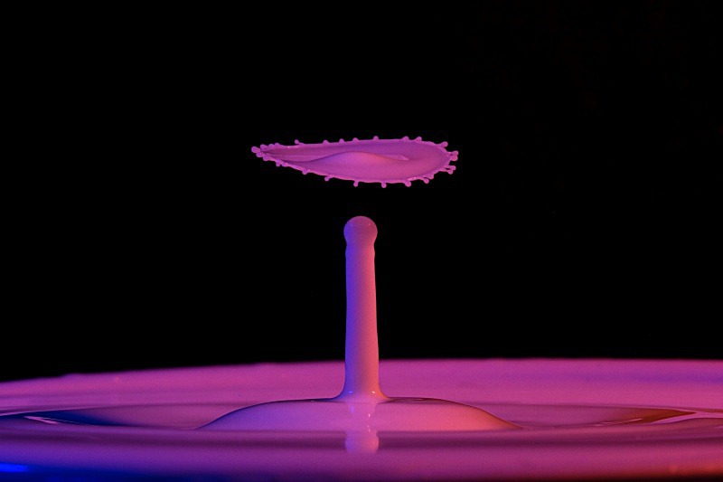  - Milk Drops