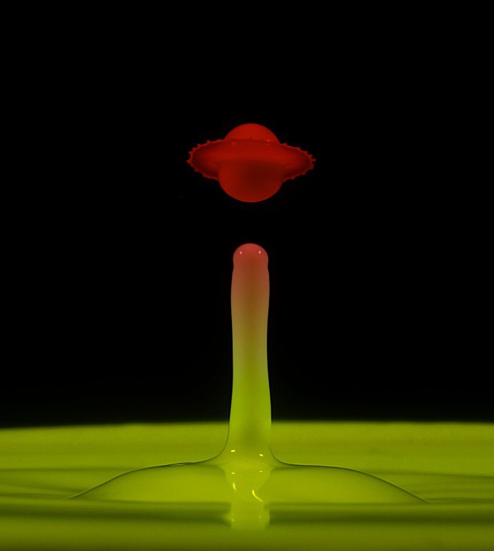  - Milk Drops