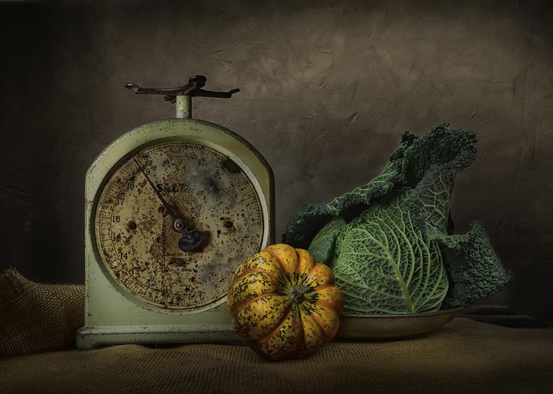 Savoy Cabbage - Still Life