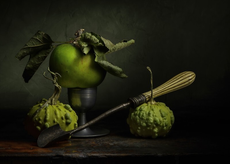 Vintage Scoop - Still Life