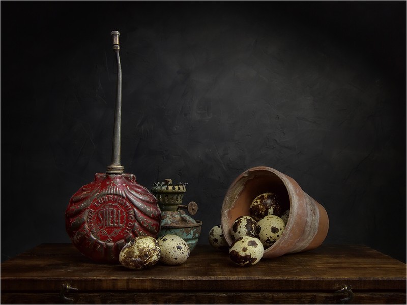 Shell ... - Still Life