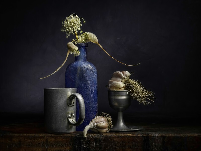 Old Allium Flowers - Still Life