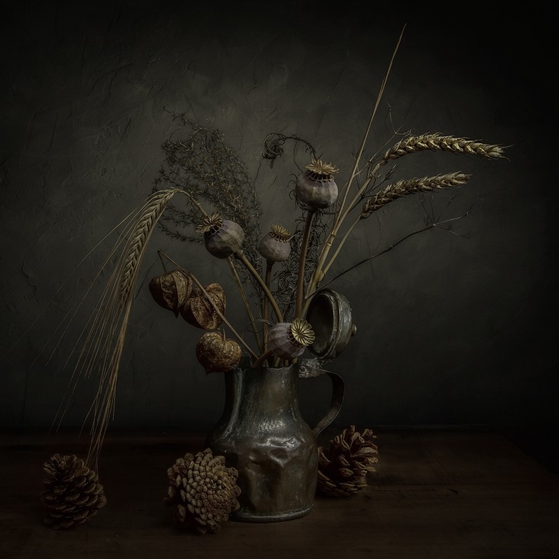Desiccated - Still Life
