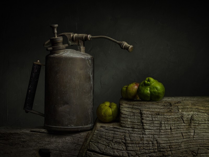 Vintage Garden Sprayer - Still Life