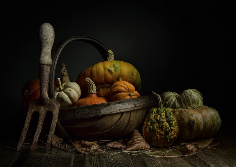 The Old Hand-fork - Still Life