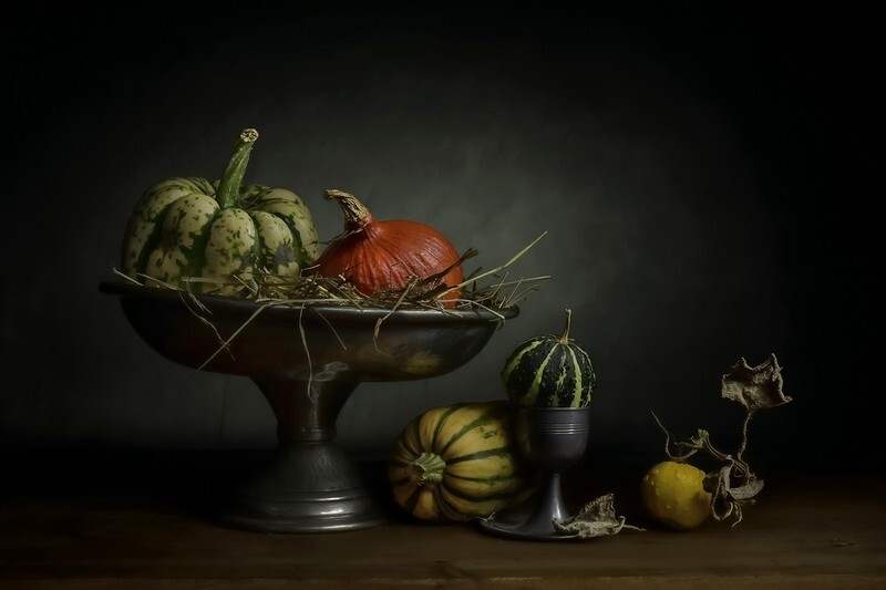 Gourd Selection - Still Life