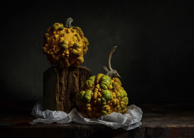 Two Gourds - Still Life