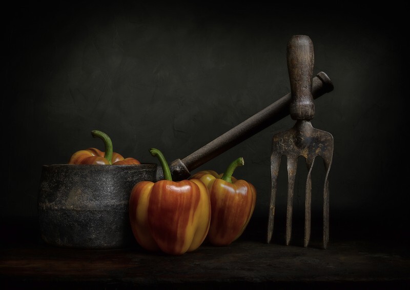 Stripes - Still Life