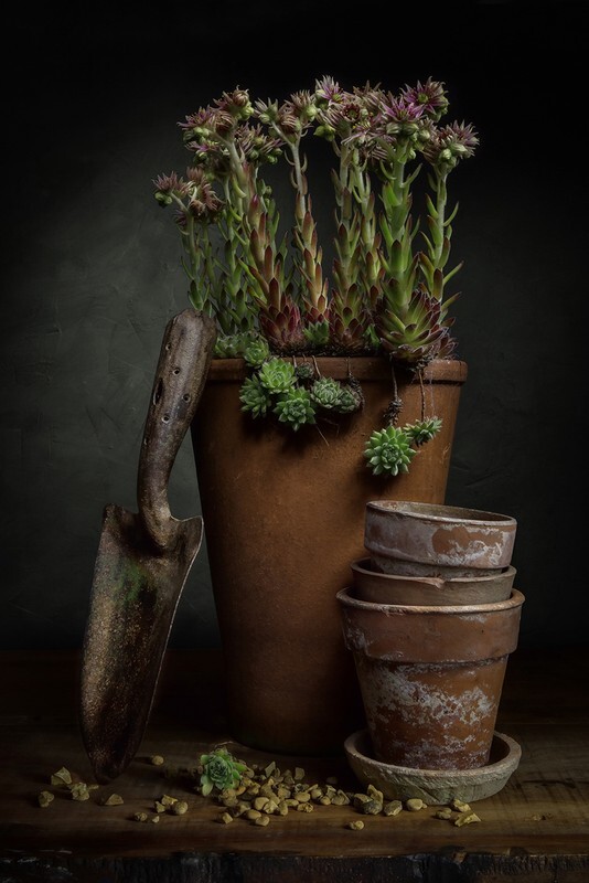 The Vintage Trowel - Still Life