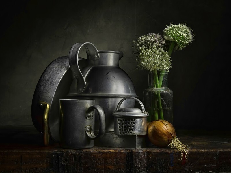Allium and Aluminium - Still Life