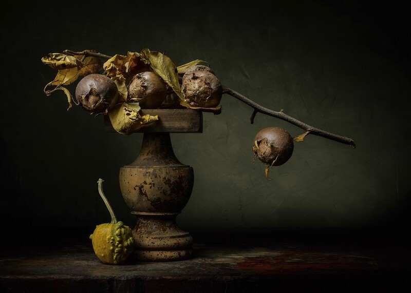 Ripe Medlars - Still Life