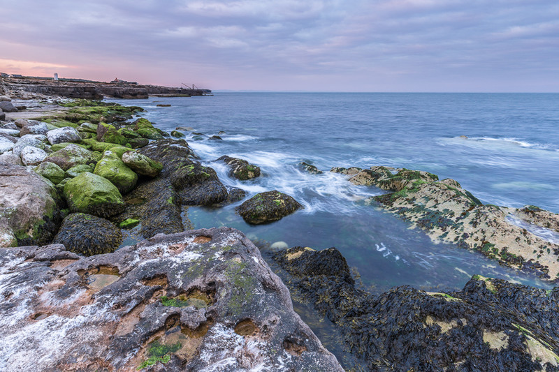 Low Tide at Portland Bill, Dorset - Dorset Seascapes