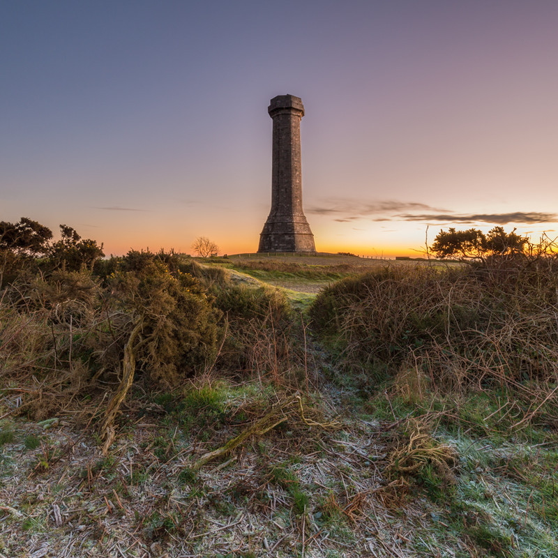Hardy Monument, Dorset - Dorset Landscapes