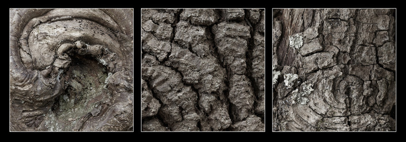 Natural Structures Tryptic 2 - Creative Studio & Fine Art