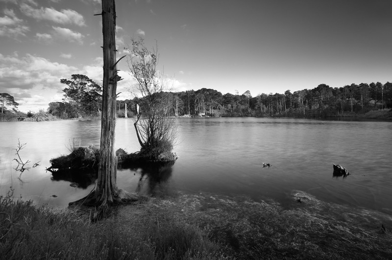 Brownsea Island - West Lake - Black & White Scenic