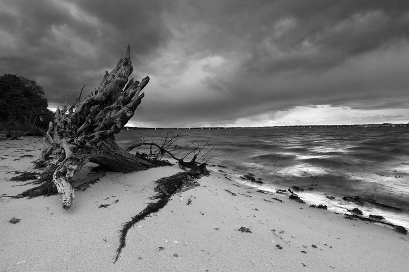 Brownsea Island Storm - Black & White Scenic
