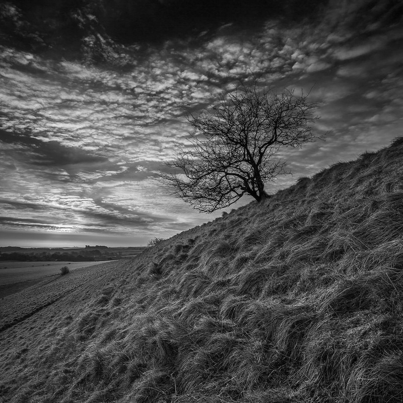 Maiden Castle Early Morning in March, Dorset (B&W) - Black & White Scenic