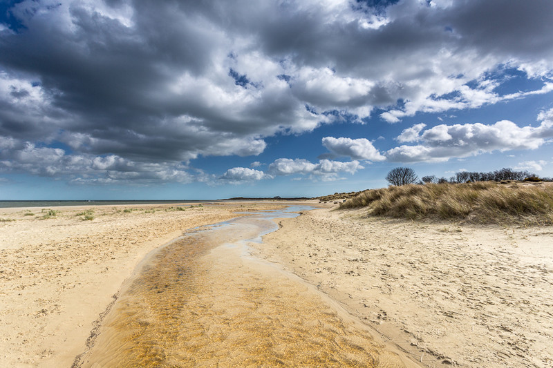 Shell Bay near Studland, Dorset - Dorset Seascapes