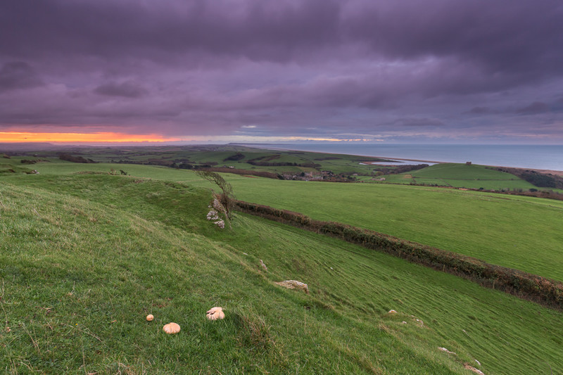  - Dorset Landscapes