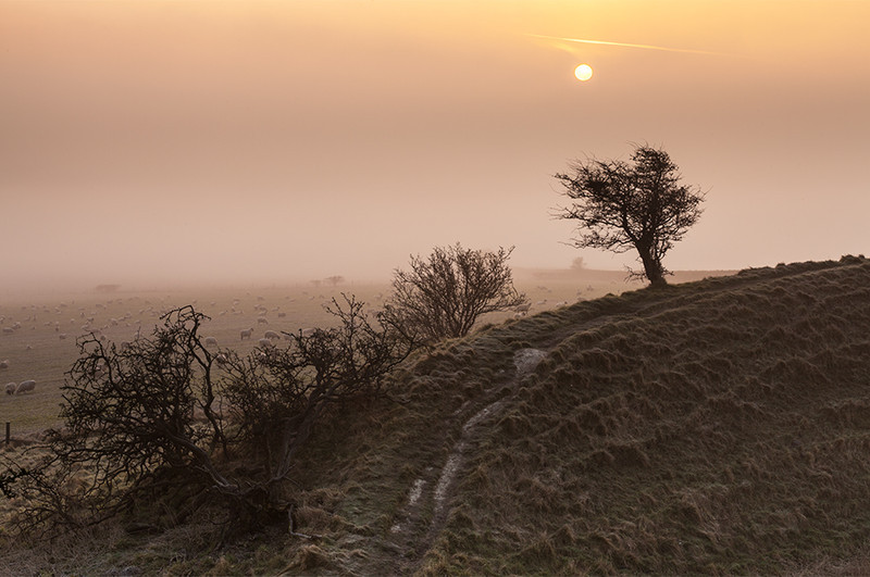 Maiden Castle Fog #1, Dorset - Dorset Landscapes