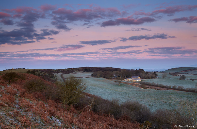 Were Hill Sunrise towards Bridport - Dorset Landscapes