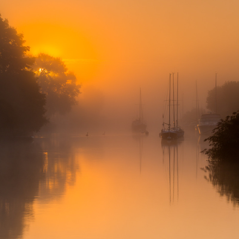 River Frome Sunrise, Wareham, Dorset (Square Format)