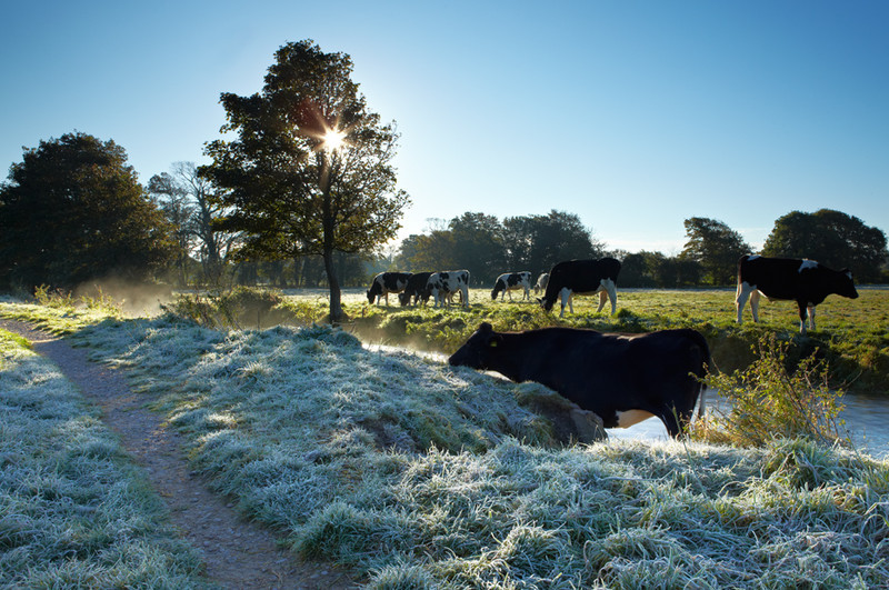 Frosty morning along the river, Dorchester - Dorset Landscapes