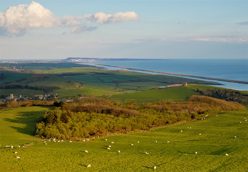 Golden Hour from Wears Hill, Abbotsbury, Dorset. - Dorset Landscapes