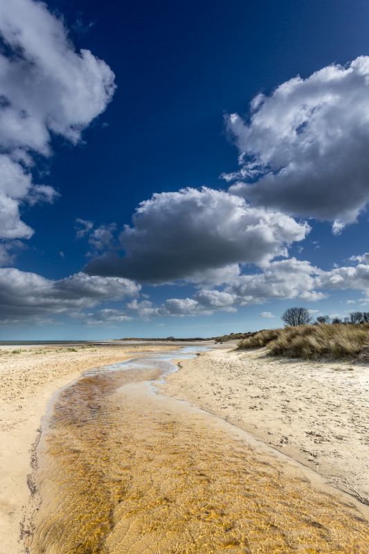 Shell Bay near Studland, Dorset - Dorset Seascapes
