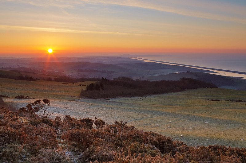 Sunrise on Wears Hill, Abbotsbury, Dorset - Dorset Landscapes