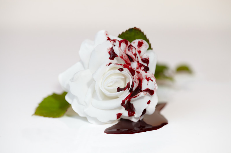 War of the Roses - Creative Studio & Fine Art