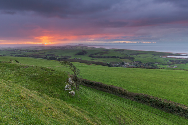 Wears Hill Sunrise, Abbotsbury, Dorset - Dorset Landscapes