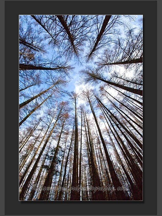 Skywards - Landscape